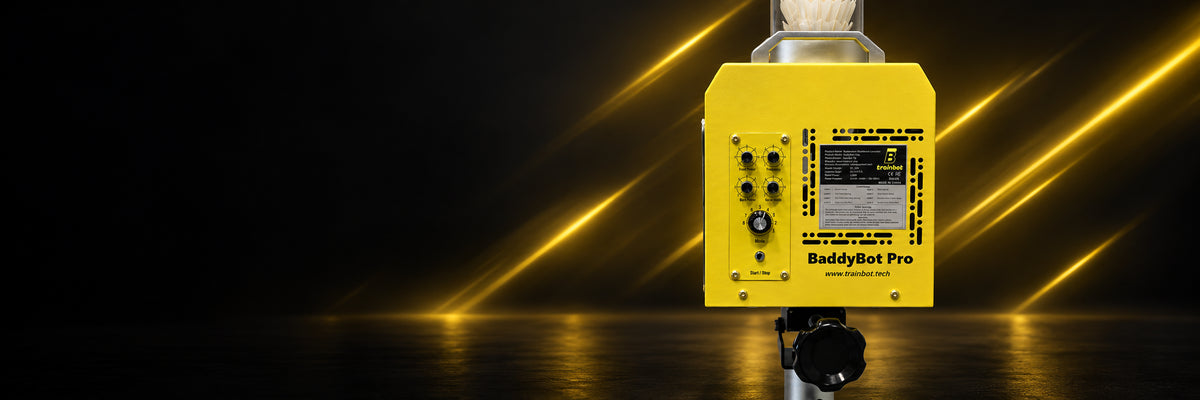 Rear view of BaddyBot Pro showing its physical controls